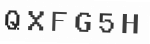 Verification Code Image